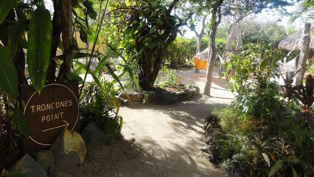 Troncones Point Hostel Eksteriør bilde